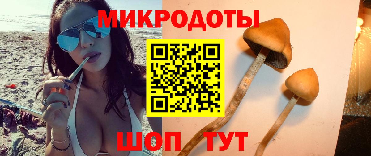 Псилоцибиновые грибы прущие грибы Новошахтинск